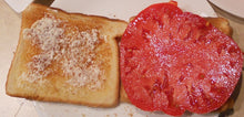 Charger l&#39;image dans la galerie, Plant mature - Tomate rouge (Big Beef)