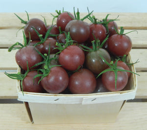 Plant mature - Tomate cerise noire